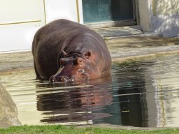 Tiergarten Schönbrunn am 03.10.2025